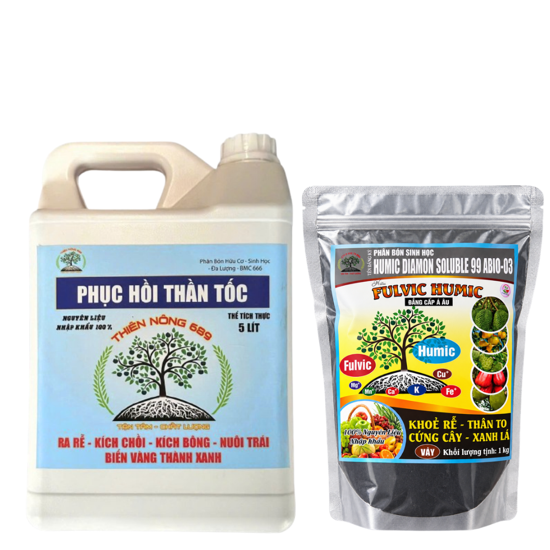 Kích thước sản phẩm web