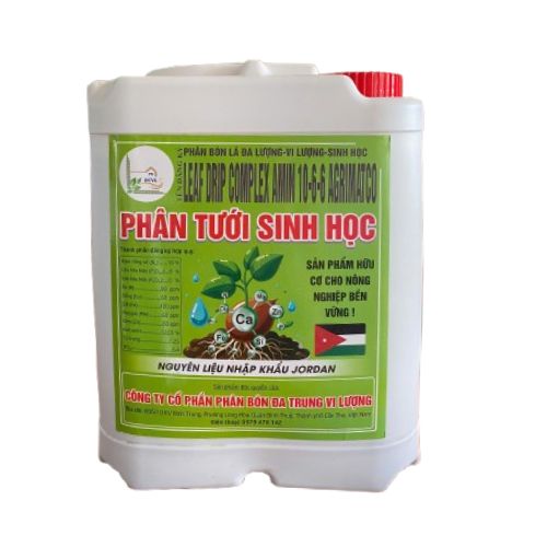 Xám nhạt và Xanh mòng két Phông chữ Monoline Đơn giản Thời trang Biểu trưng Thời trang